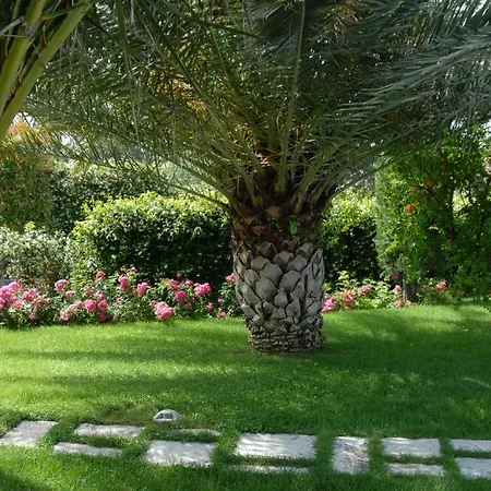 Bed & Breakfast Vittoria House *
